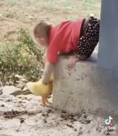 I cried. Not a meme but I thought it was cute