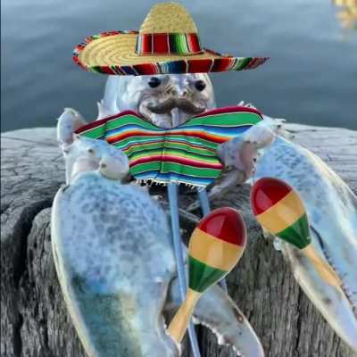Hey brother you want some tacos!