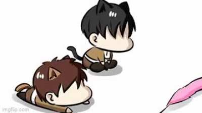 kitties
