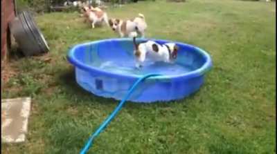 I control the hose!
