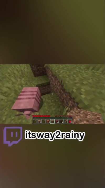 Minecraft MIGHT be fun again