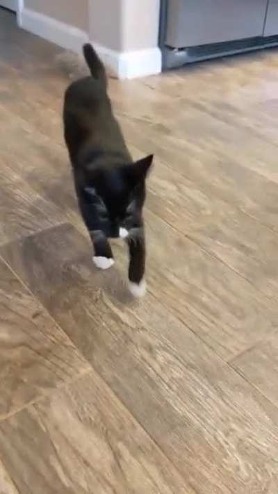 He didn&rsquo;t like my singing