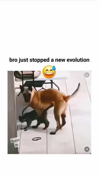 New evolution