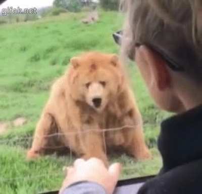 "Hey." "Hello."