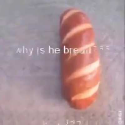cachorro p&atilde;o