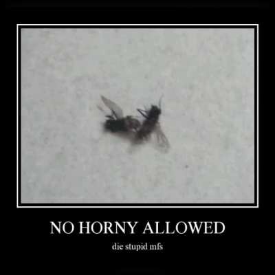 Be gone flying horny thots