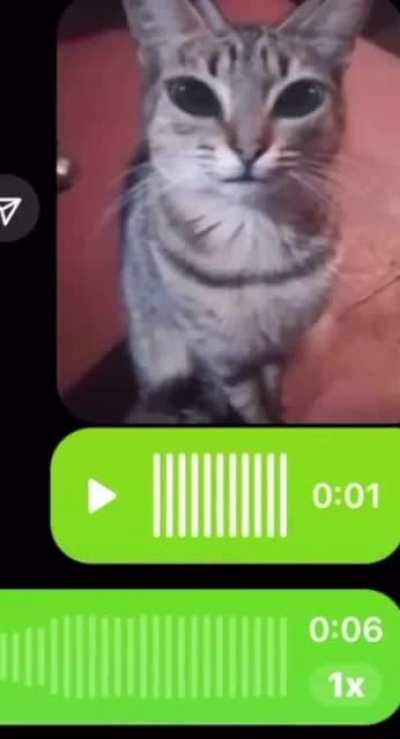 Dumb fuck
