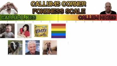 I created a scale of things Callum likes and hates from most loved to most hated