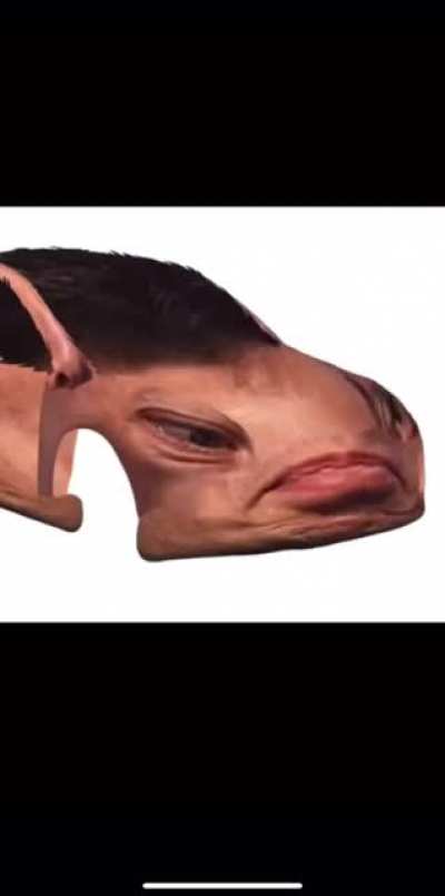 Blursed_tesla