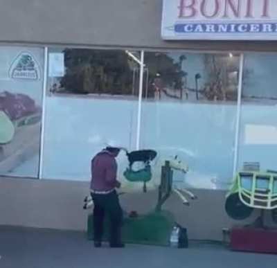 That dog is happy AF.