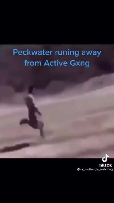 Lol this u man?