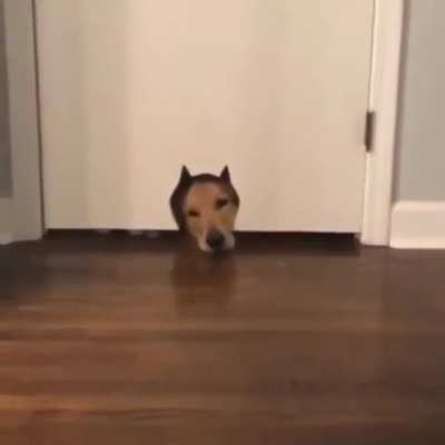 "Uhhh... excuse me..."