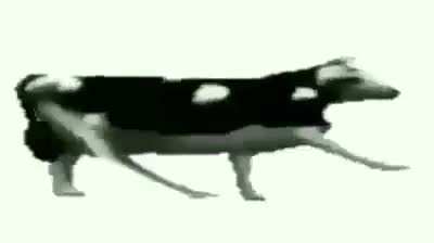 Looking for the song in the background, not the Russian. Era: 1980s? Language: English Genre: Funk? Lyrics: 