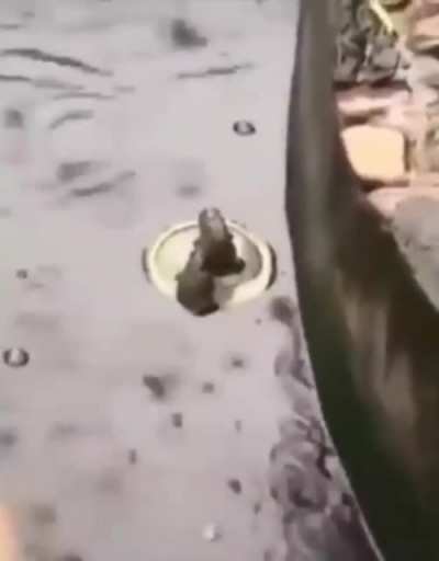 Titanic ayrıntılı &ouml;zet