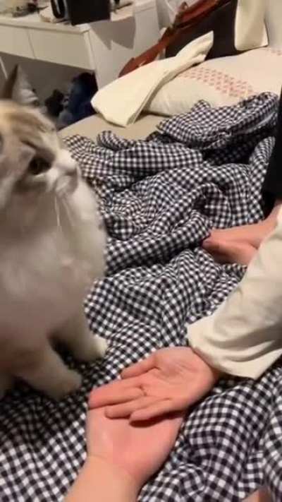 High Five