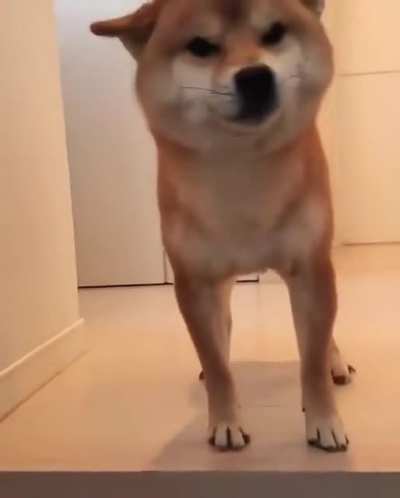 El micky uwu👉👈