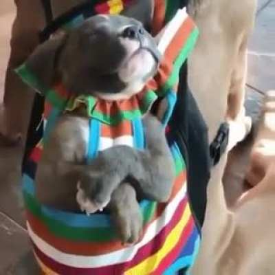 "I didn't sign up for this"