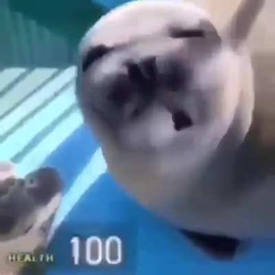 Just type :) in the comments