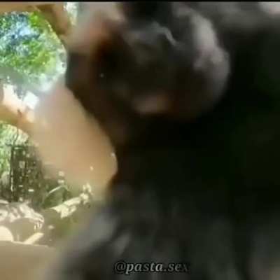 Primeira part do v&iacute;deo