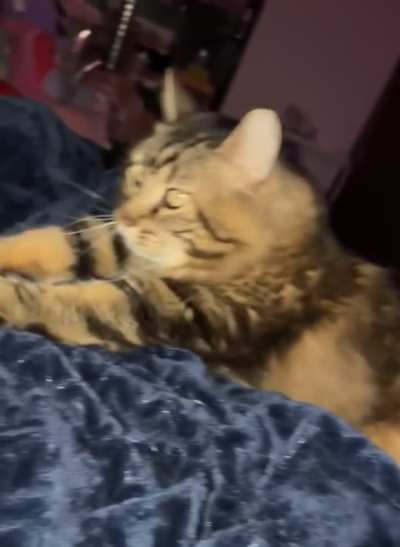 I call them his big bear paws