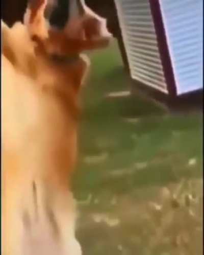 Kkkkkkkkkkkkkkk