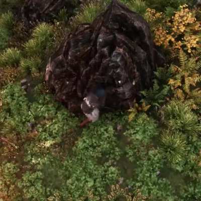 A grim discovery.