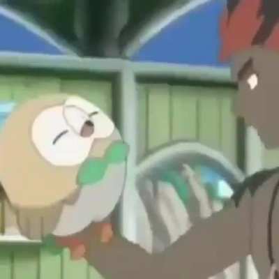 I dont remember pokemon being like this
