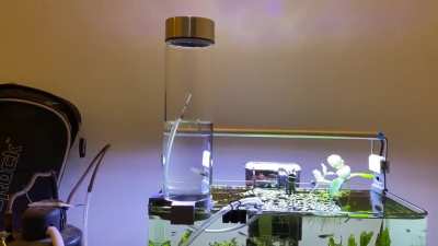 "Anti-Gravity" Aquarium Water Column Mount from Old Tumbler