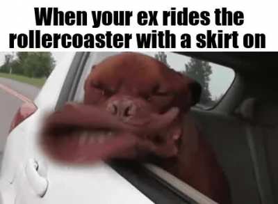 I'm sorry