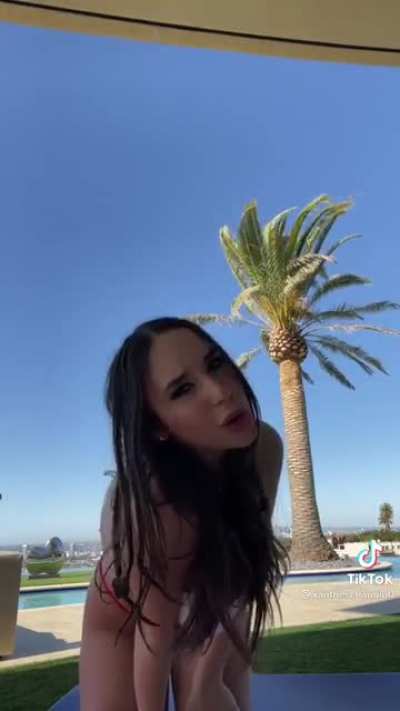 What an amazing palm tree&hellip;