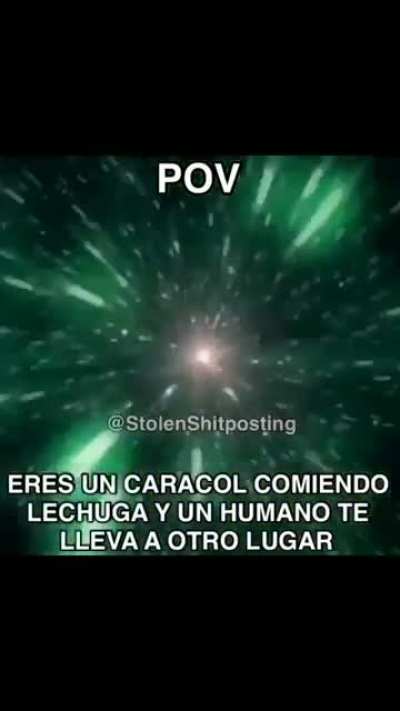Kkkk