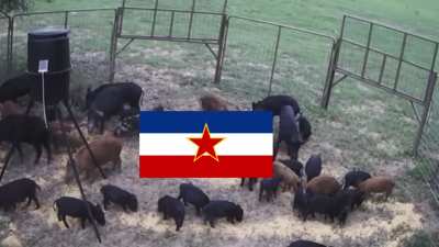 It&rsquo;s a miracle that the Balkans stayed united as long as they did&hellip;until they didn&rsquo;t