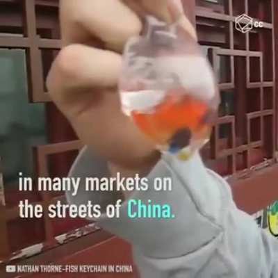What government allows something this fucked up to occur?
