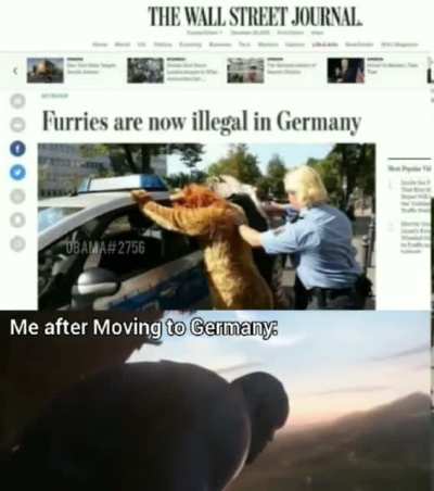 Who&rsquo;s moving to Germany with me?