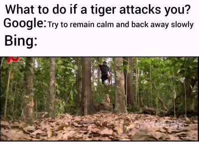 *pulimurugan bgm starts playing *