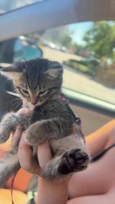 Baby Mary Jane