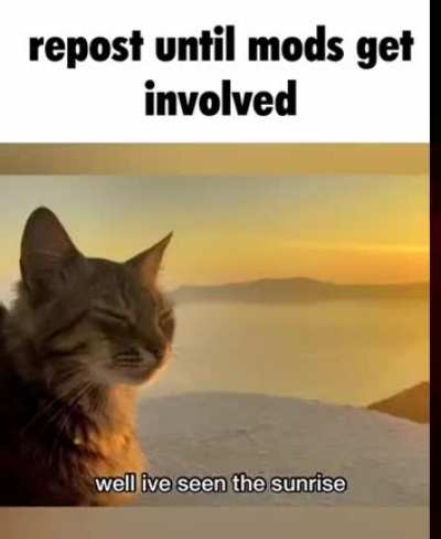 repost