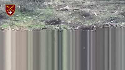 Ukrainian Armed Forces soldiers captured Russian soldiers in the western part of Robotyne at the point 📍 47.444614, 35.826119. second angle of russian POW captured