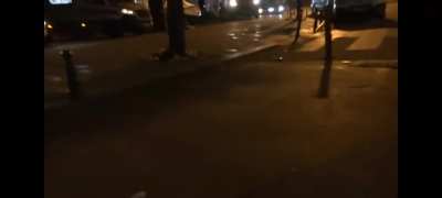 Yabancı basına dahi saldıran ahlaksız sarayın k&ouml;pekleri