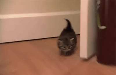 Oh lawd, he comin'