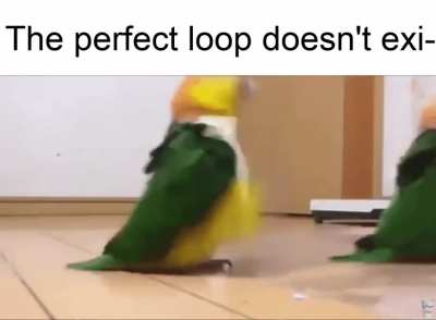 Couldn&rsquo;t find a perfect loop of this so I made one, enjoy