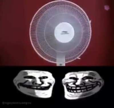 xd