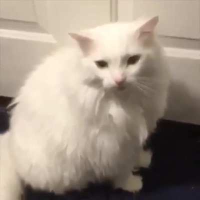 He won&rsquo;t like it.