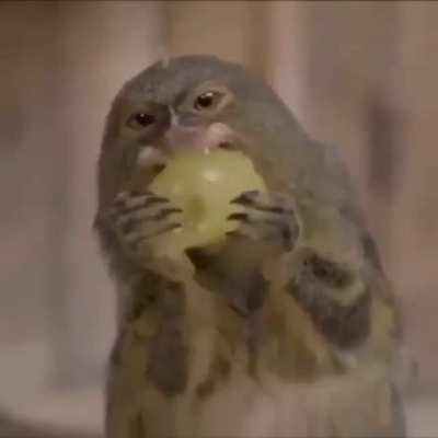 Don&rsquo;t forget to eat a nutritious snack with the boys