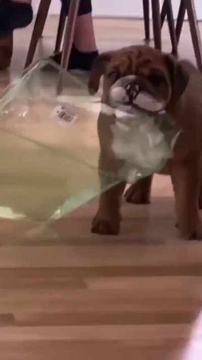 "i gots it, i gots it don't need your help"