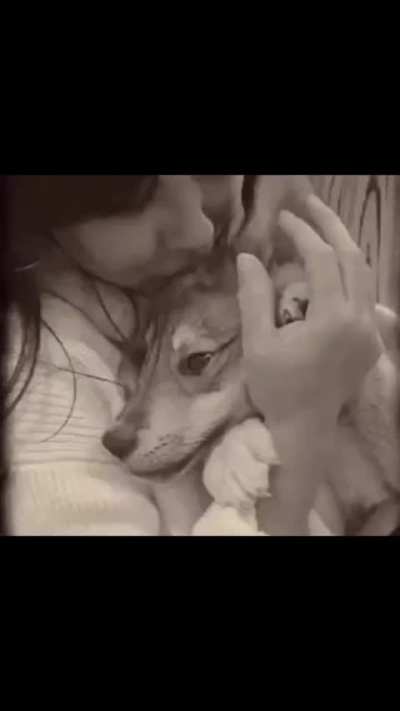 Fans of Shannen Doherty from all over the world posted lovely tributes on social media following a year since Shannen's death. This video by @aliciarosabelleviolet on Instagram is one of many tributes. We miss and love Shannen everyday.
