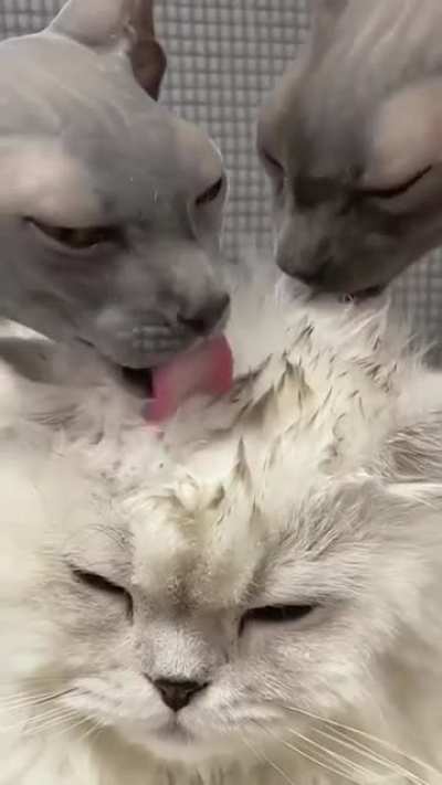 Любовь это...