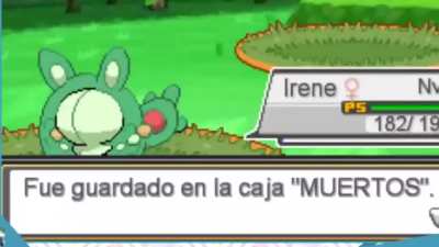 Momento bro