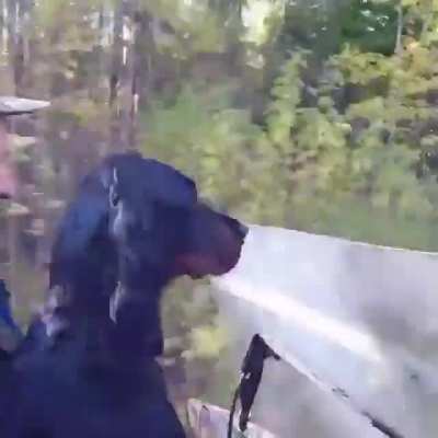 Guy made his own motorcycle train car to hunt with