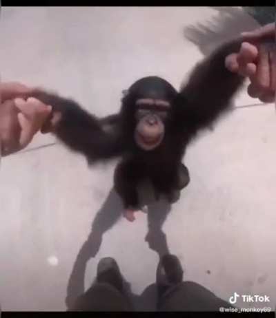 Monkaaaaaaa